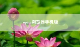 opera浏览器手机版