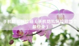 手机隐私保险箱（手机隐私保险箱哪个最安全）