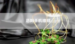 洛阳手机维修