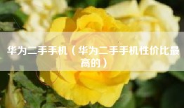 华为二手手机（华为二手手机性价比最高的）