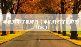 手机开不了机咋办（手机开不了机咋办红米）
