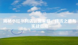 揭秘小红书网店运营策略，赚钱之道与实战指南