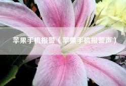 苹果手机报警（苹果手机报警声）