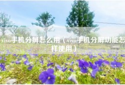 vivo手机分屏怎么用（vivo手机分屏功能怎样使用）