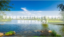 苹果手机蓝牙怎么打不开（苹果手机的蓝牙打不开怎么办）
