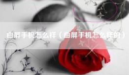 曲屏手机怎么样（曲屏手机怎么样的）