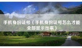 手机身份证号（手机身份证号怎么才能全部显示出来）