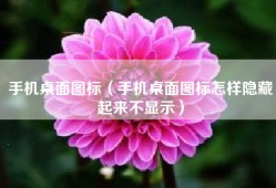 手机桌面图标（手机桌面图标怎样隐藏起来不显示）