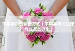 苹果手机的快捷方式（苹果手机的快捷方式怎么退出）