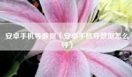 安卓手机导数据（安卓手机导数据怎么导）