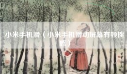 小米手机滑（小米手机滑动屏幕有顿挫感）