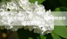 贝壳去年净收入935亿元，管理层称楼市迎来显著修复