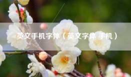 英文手机字体（英文字体 手机）