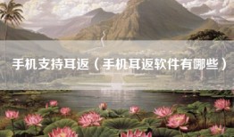 手机支持耳返（手机耳返软件有哪些）