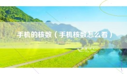 手机的核数（手机核数怎么看）
