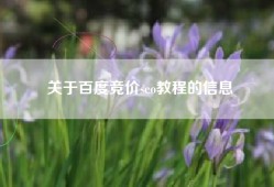 关于百度竞价seo教程的信息