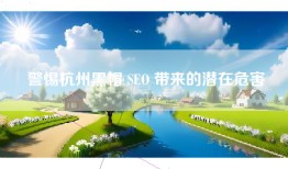 警惕杭州黑帽 SEO 带来的潜在危害