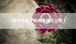 闻尚手机（尚闻集团怎么样）