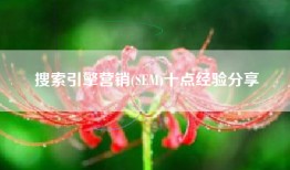 搜索引擎营销(SEM)十点经验分享