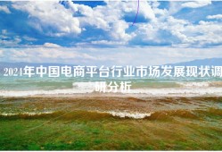 2024年中国电商平台行业市场发展现状调研分析