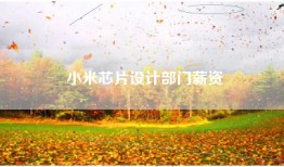 小米芯片设计部门薪资