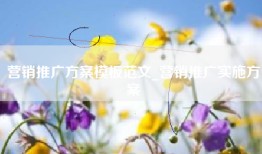 营销推广方案模板范文_营销推广实施方案
