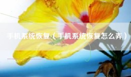 手机系统恢复（手机系统恢复怎么弄）