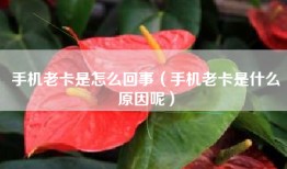 手机老卡是怎么回事（手机老卡是什么原因呢）