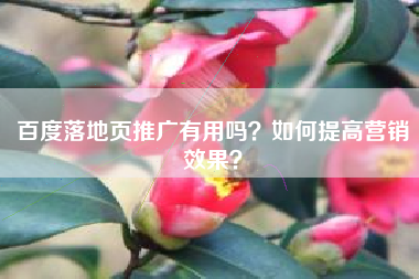 百度落地页推广有用吗？如何提高营销效果？
