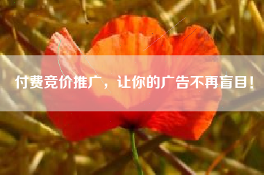 付费竞价推广，让你的广告不再盲目！