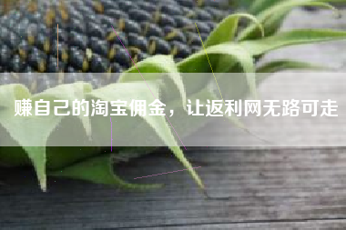 赚自己的淘宝佣金，让返利网无路可走