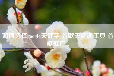 如何选择google关键字 谷歌关键词工具 谷歌推广...