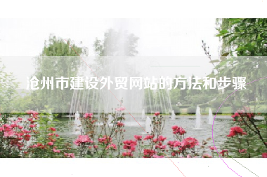 沧州市建设外贸网站的方法和步骤