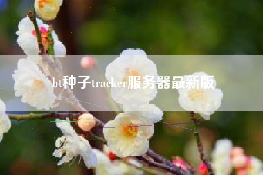 bt种子tracker服务器最新版