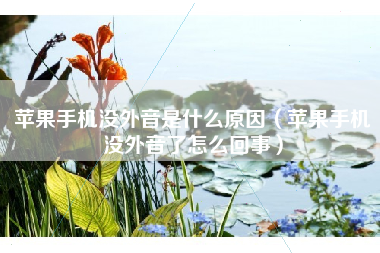 苹果手机没外音是什么原因（苹果手机没外音了怎么回事）