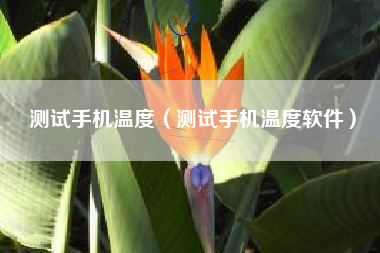 测试手机温度（测试手机温度软件）