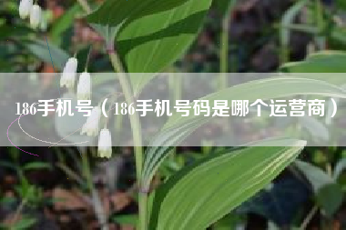 186手机号（186手机号码是哪个运营商）