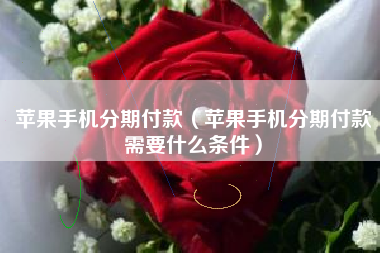 苹果手机分期付款（苹果手机分期付款需要什么条件）