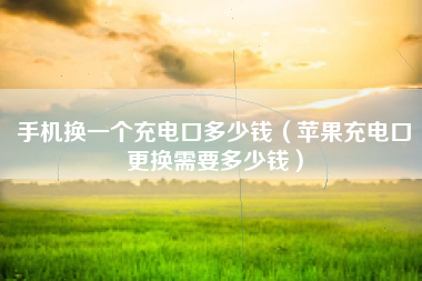 手机换一个充电口多少钱（苹果充电口更换需要多少钱）