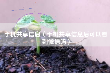 手机共享信息（手机共享信息后可以看到微信吗）