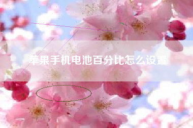 苹果手机电池百分比怎么设置