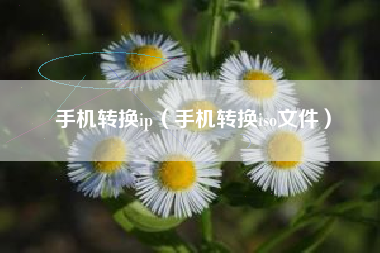 手机转换ip（手机转换iso文件）