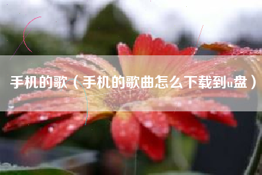 手机的歌（手机的歌曲怎么下载到u盘）