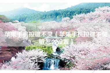 苹果手机按键不灵（苹果手机按键不灵敏怎么设置）