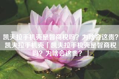 凯夫拉手机壳是智商税吗？为啥会这贵？凯夫拉手机壳「凯夫拉手机壳是智商税吗？为啥会这贵？」