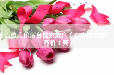 百度竞价后台搜索推广（百度搜索推广竞价工具）