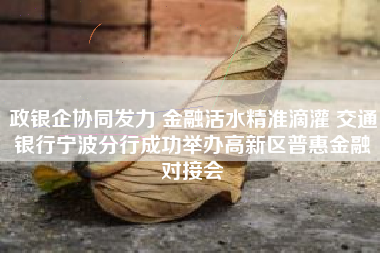 政银企协同发力 金融活水精准滴灌 交通银行宁波分行成功举办高新区普惠金融对接会