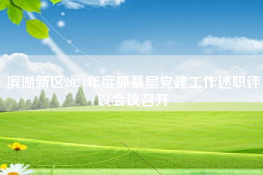 滨湖新区2024年度抓基层党建工作述职评议会议召开