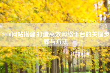 2010网站搭建,打造高效网络平台的关键步骤与方法